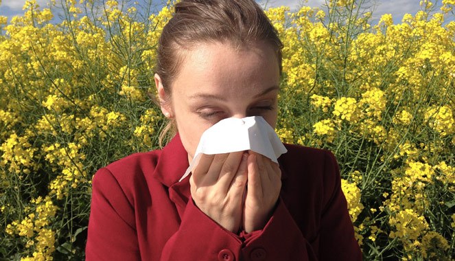 Alergija na cvetni prah